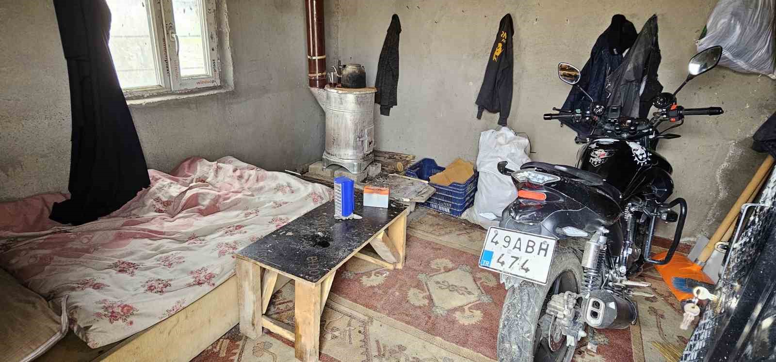 musta 9 gun once oldurulen adamin kedileri mezarinin basindan ayrilmiyor 3 jUq1KqFB