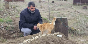 musta-9-gun-once-oldurulen-adamin-kedileri-mezarinin-basindan-ayrilmiyor-yZ57syMw.jpg