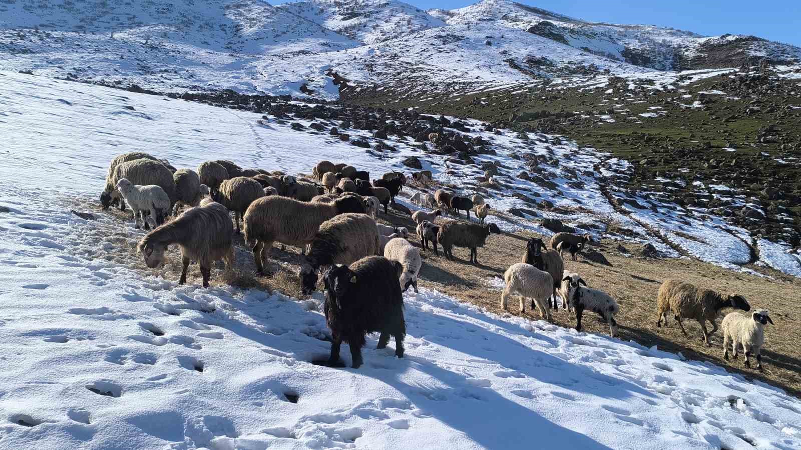 musta besiciler bahari beklerken yeniden kisa geldi 1 MsNKtEBn