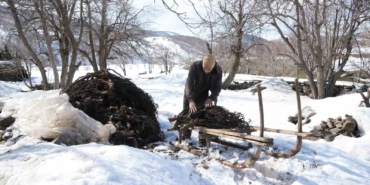 musta-besicilerin-asirlik-geven-otu-gelenegi-suruyor-vUqHqhxM.jpg