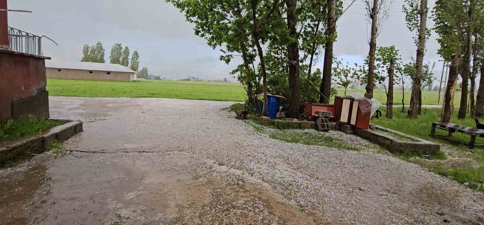 musta dolu yagisi etkili oldu 4 iI5npH5e