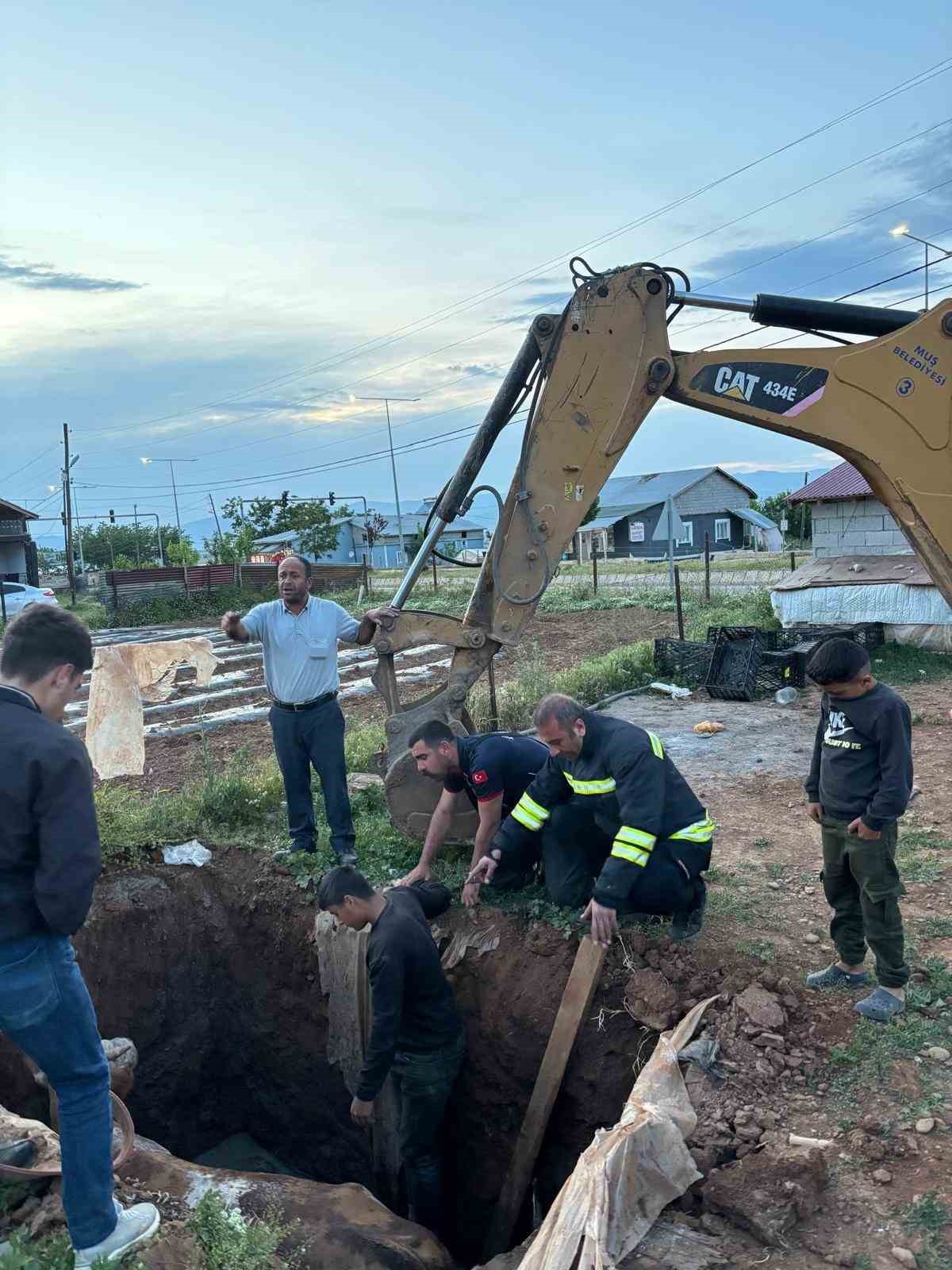 Muş’ta foseptik çukuruna düşen ineği itfaiye ekipleri kurtardı 6 musta foseptik cukuruna dusen inegi itfaiye ekipleri kurtardi 2 TIWrRiq4