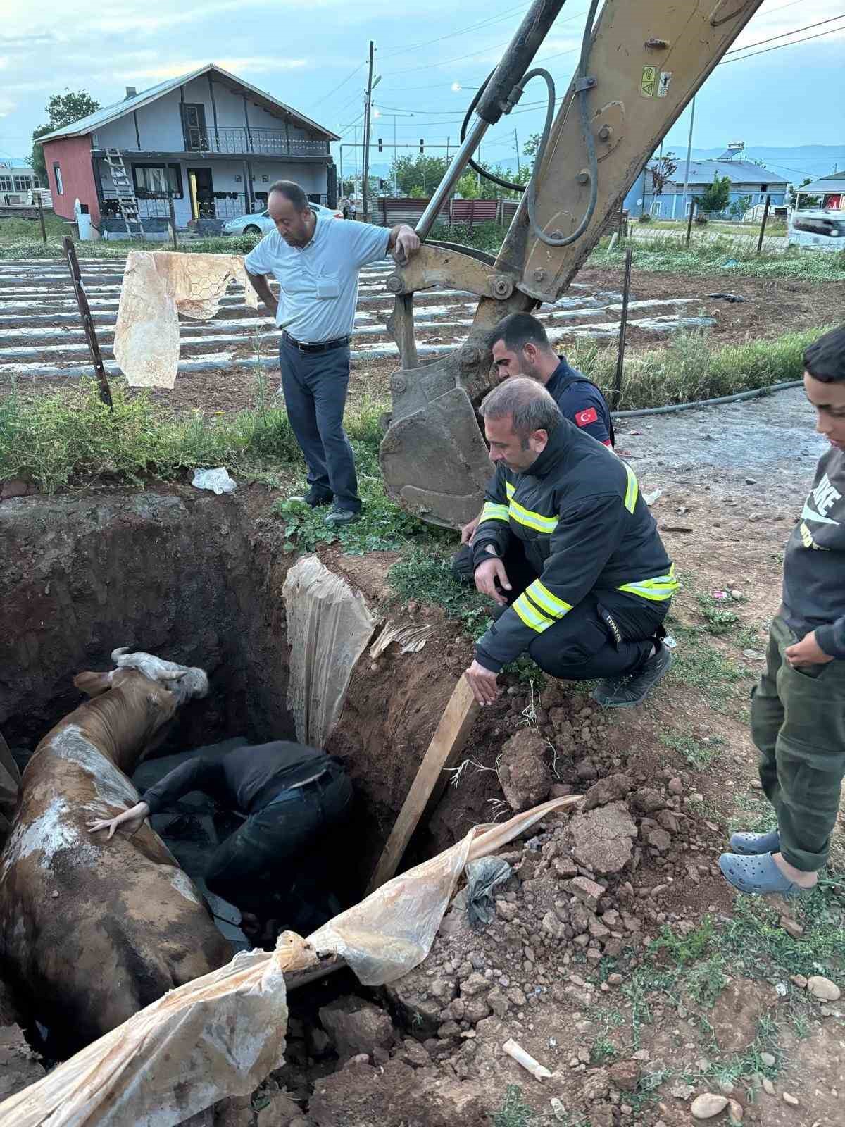 Muş’ta foseptik çukuruna düşen ineği itfaiye ekipleri kurtardı 7 musta foseptik cukuruna dusen inegi itfaiye ekipleri kurtardi 3 bv8w2rHM