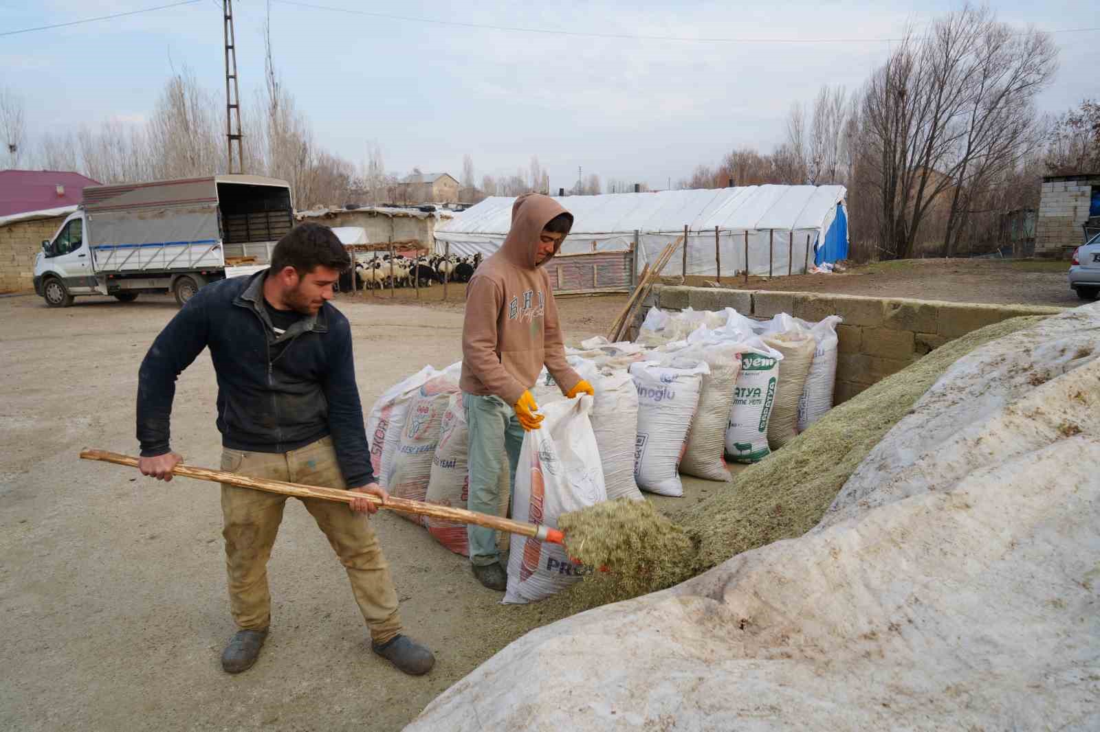 musta hayvan sayisi 14 milyonu asti 650 bin kuzu ve oglak dogumu bekleniyor 6 7LEujZkX
