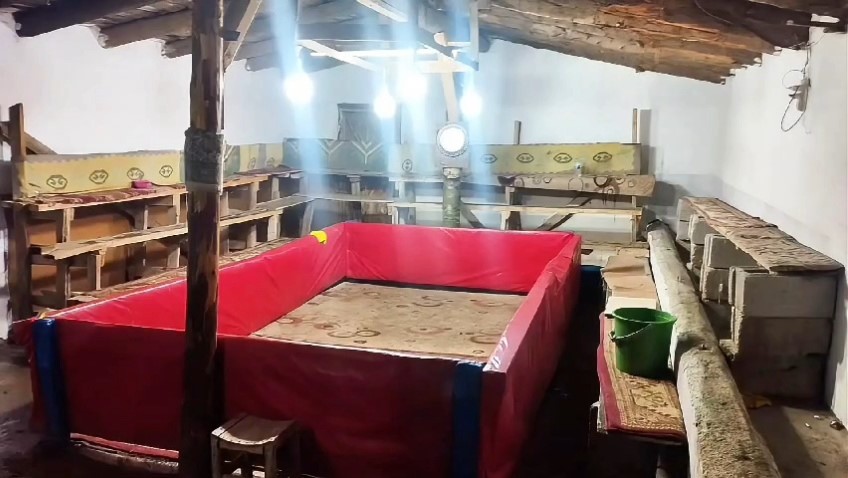 musta horoz dovusu yapan 23 kisiye ceza 0 1QhUntX7