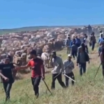 musta-iki-koy-arasinda-arazi-kavgasi-2-yarali-mLfAP6Pl.jpg