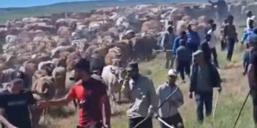 musta-iki-koy-arasinda-arazi-kavgasi-2-yarali-mLfAP6Pl.jpg