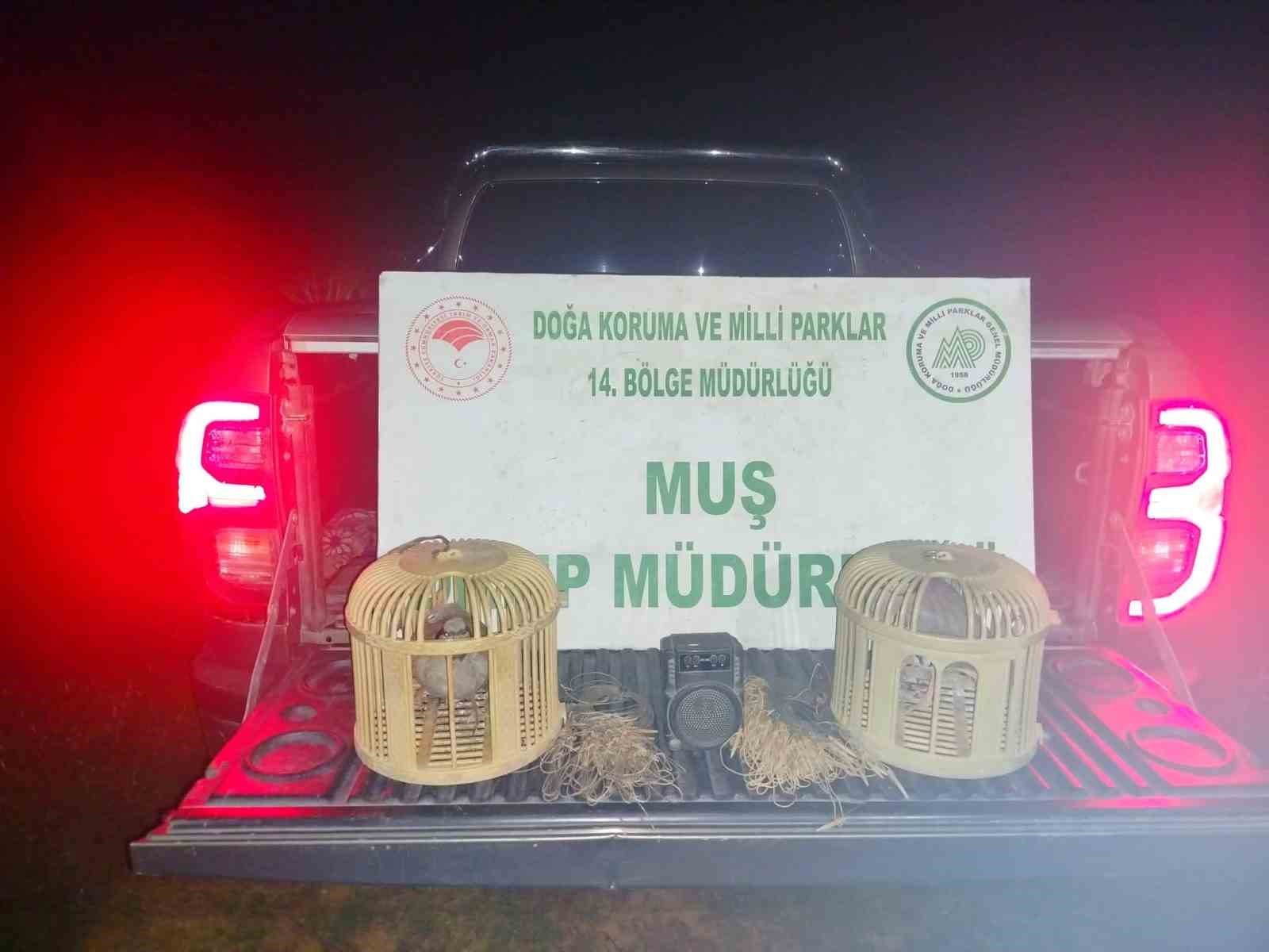 musta kacak keklik avina sucustu 65 bin tl ceza kesildi 0