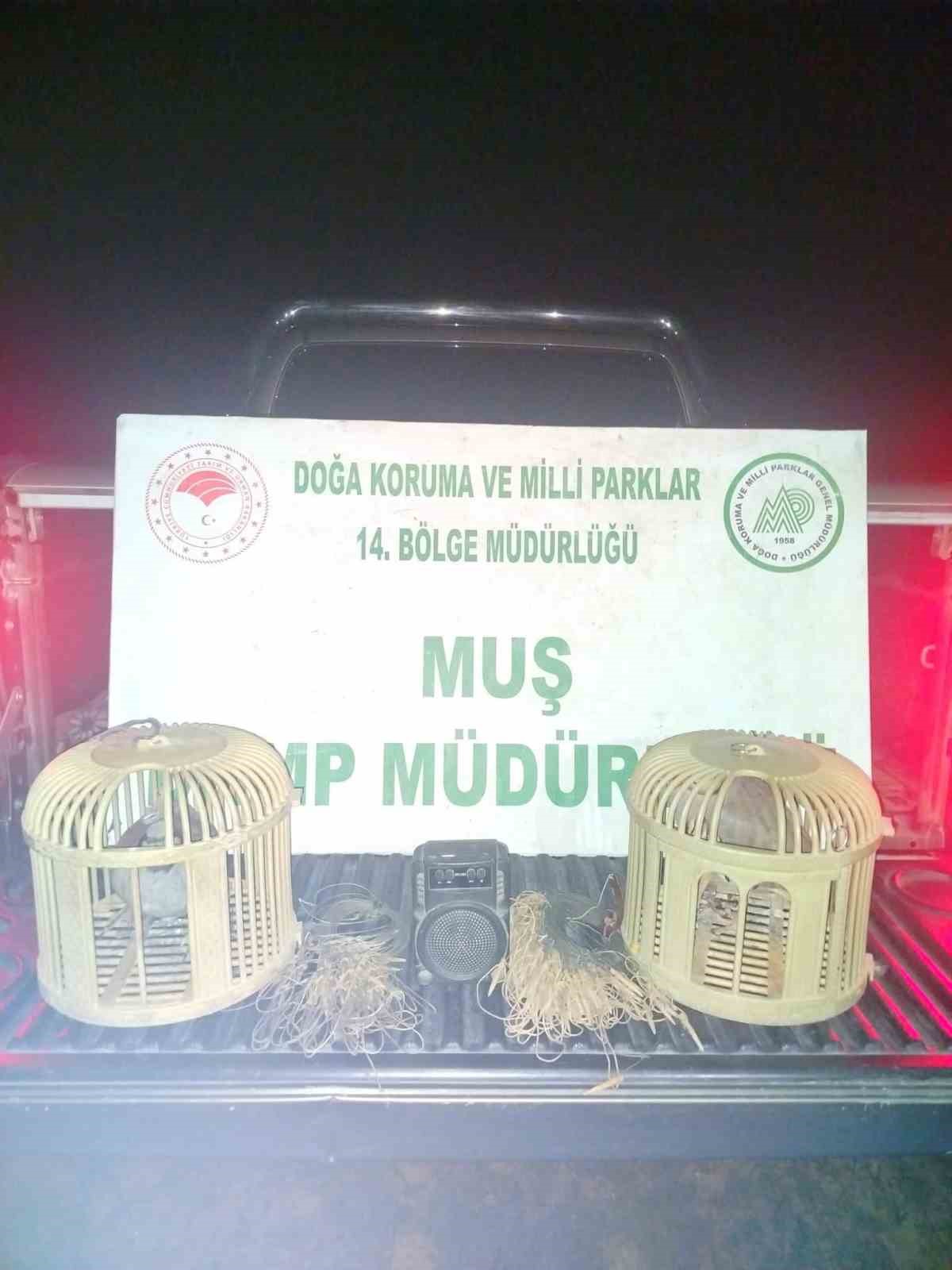 musta kacak keklik avina sucustu 65 bin tl ceza kesildi 1