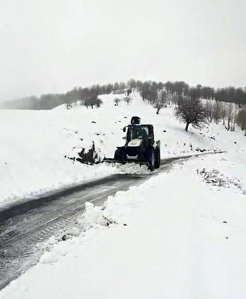 musta kar ve tipi nedeniyle kapanan 26 yerlesim yeri ulasima acildi 1 lrdzuAja