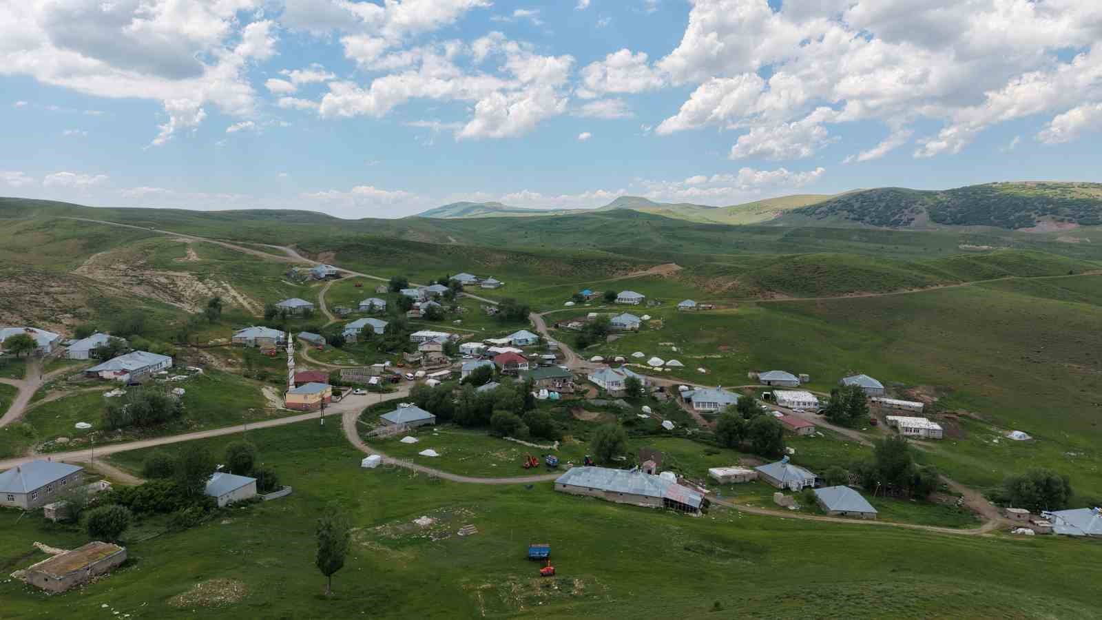 musta kaybolan coban icin arama calismalari suruyor 2 hFO8uyPD