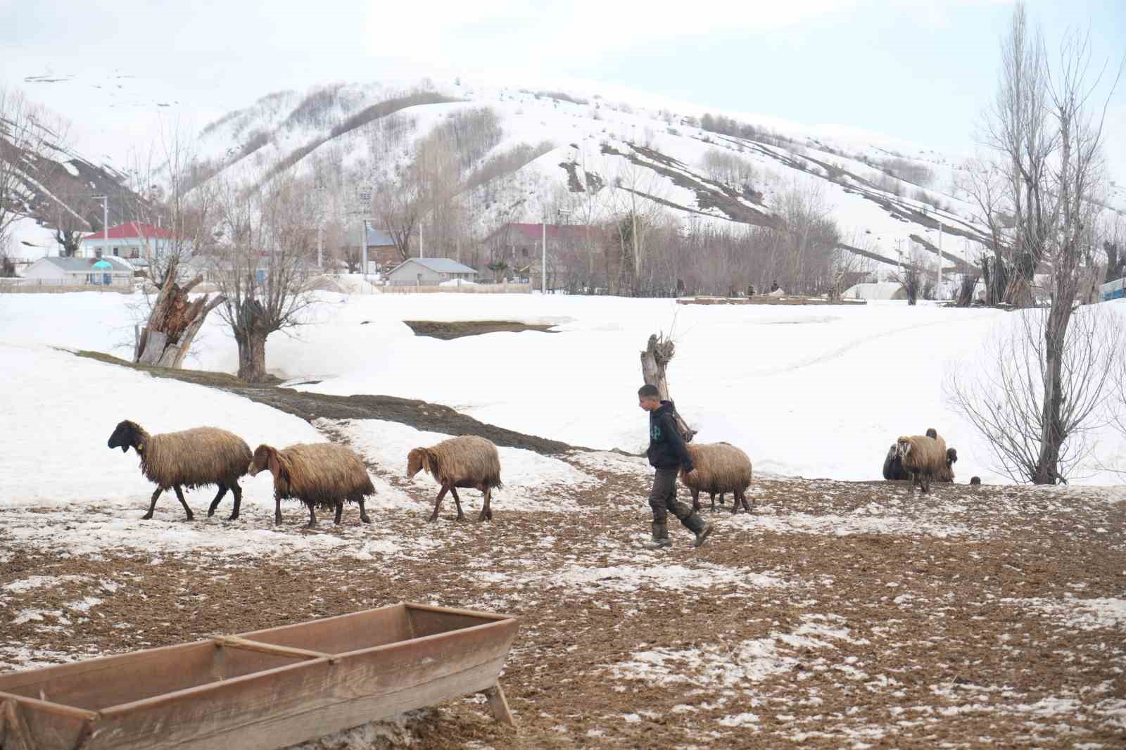 musta kis ve bahar ayni anda yasaniyor 2