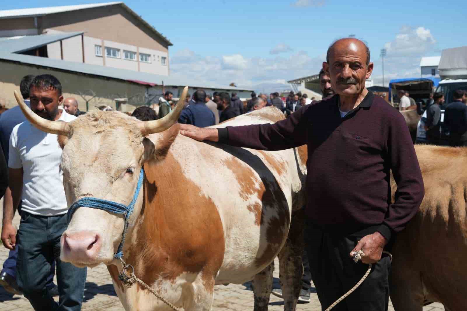 musta kurban pazarinda bayram yogunlugu artti 3 Jd5TfUPA