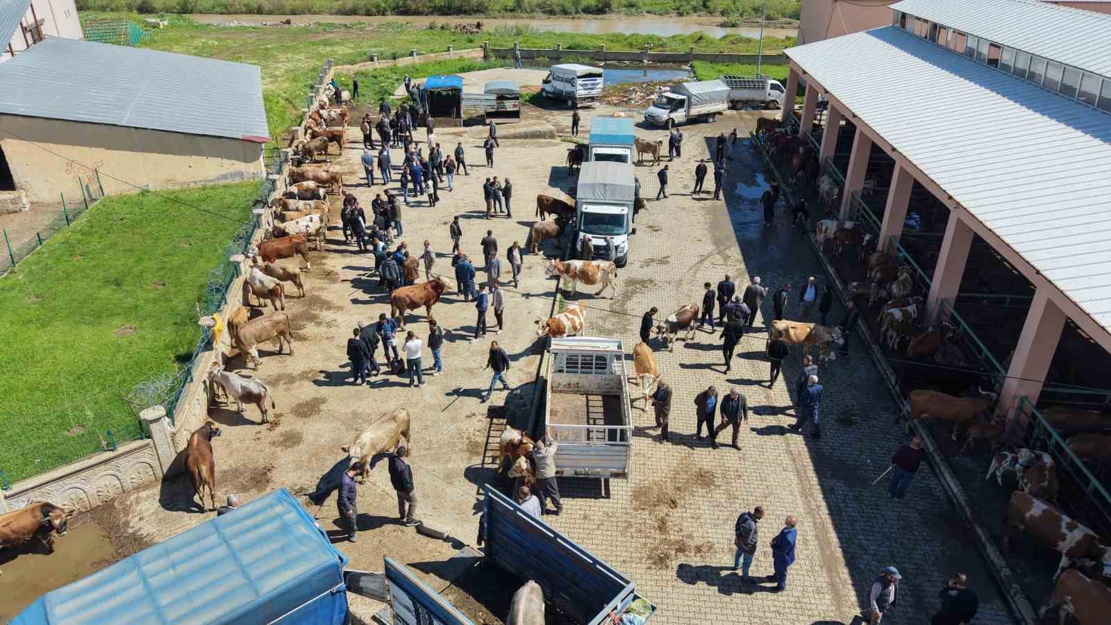 musta kurban pazarinda bayram yogunlugu artti 8 7ptBI37n
