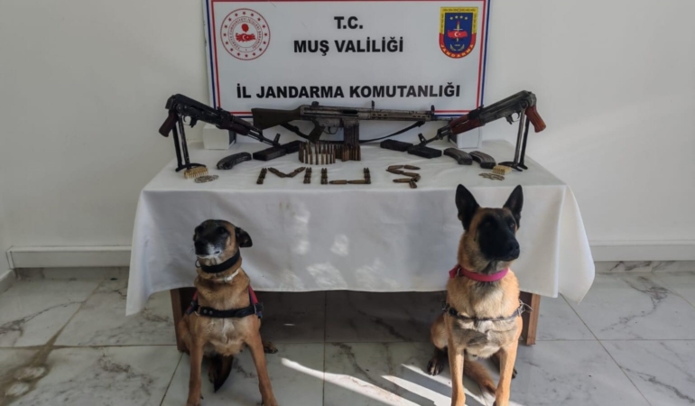 musta-ruhsatsiz-3-uzun-namlulu-silah-ele-gecirildi-dBaGlhRf.jpg