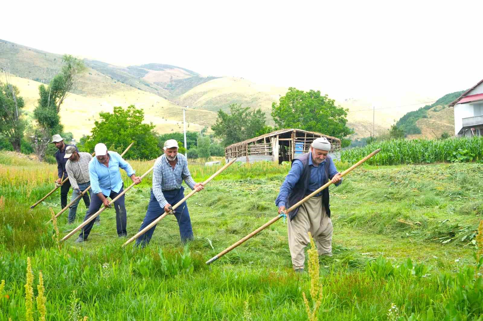 musta tirpan mesaisi kavurucu sicakta imece usulu ot biciyorlar 5 sYDUKutP