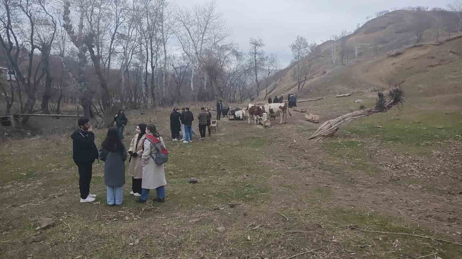 musta universite ogrencileri dogayi gezerek dengbejlik kulturuyle bulustu 4 KEVTRthn