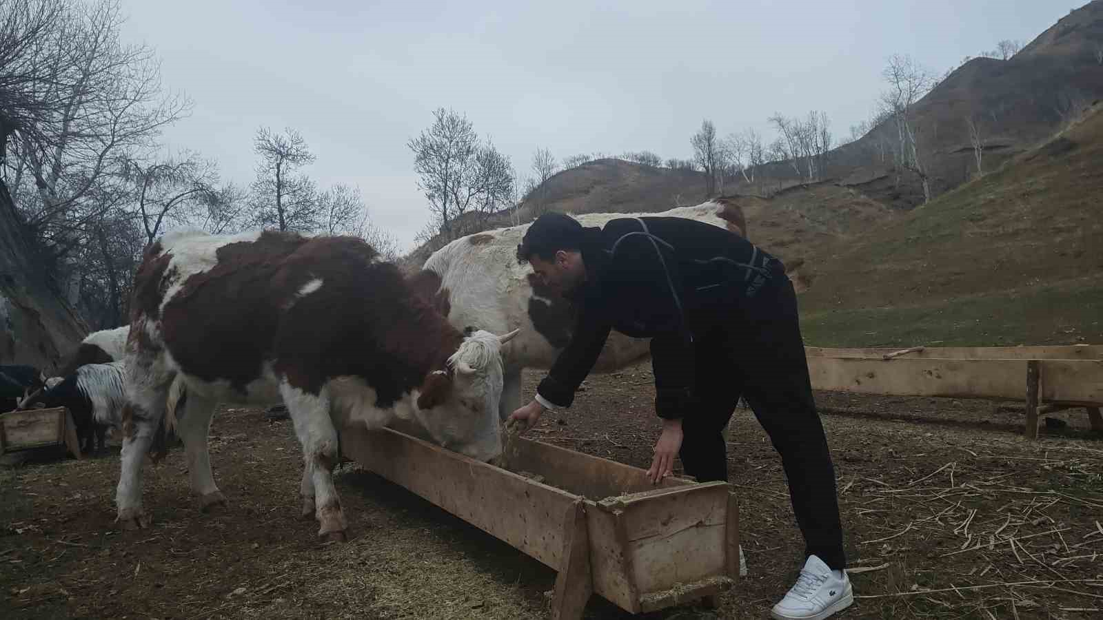 musta universite ogrencileri dogayi gezerek dengbejlik kulturuyle bulustu 5 K3hlw5y8
