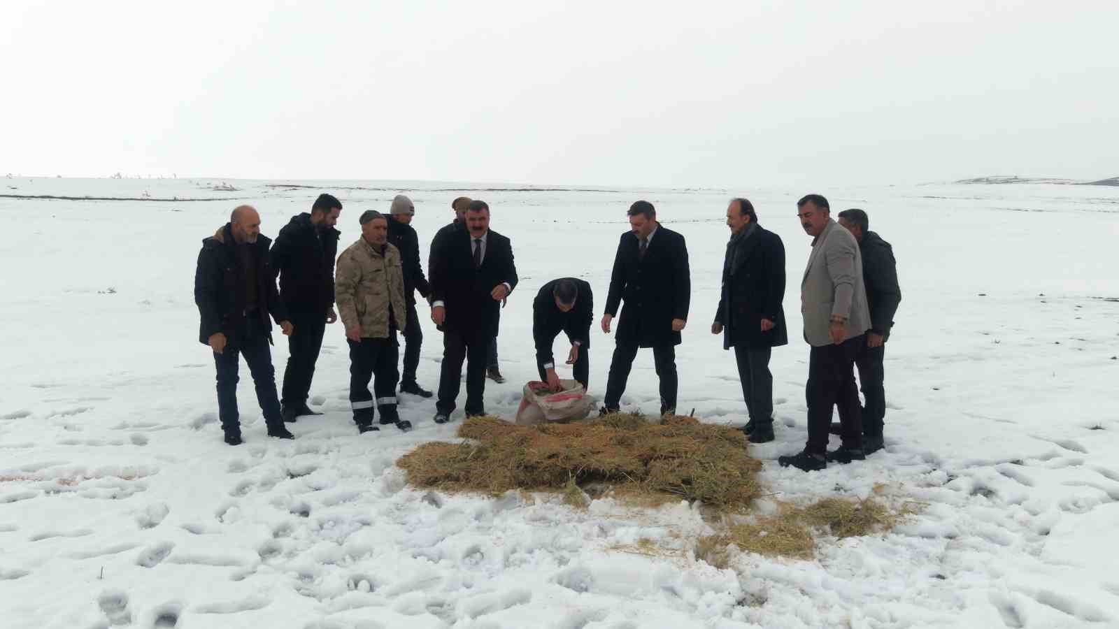musta yaban hayati icin dogaya yem birakildi 1 awT7kh1z