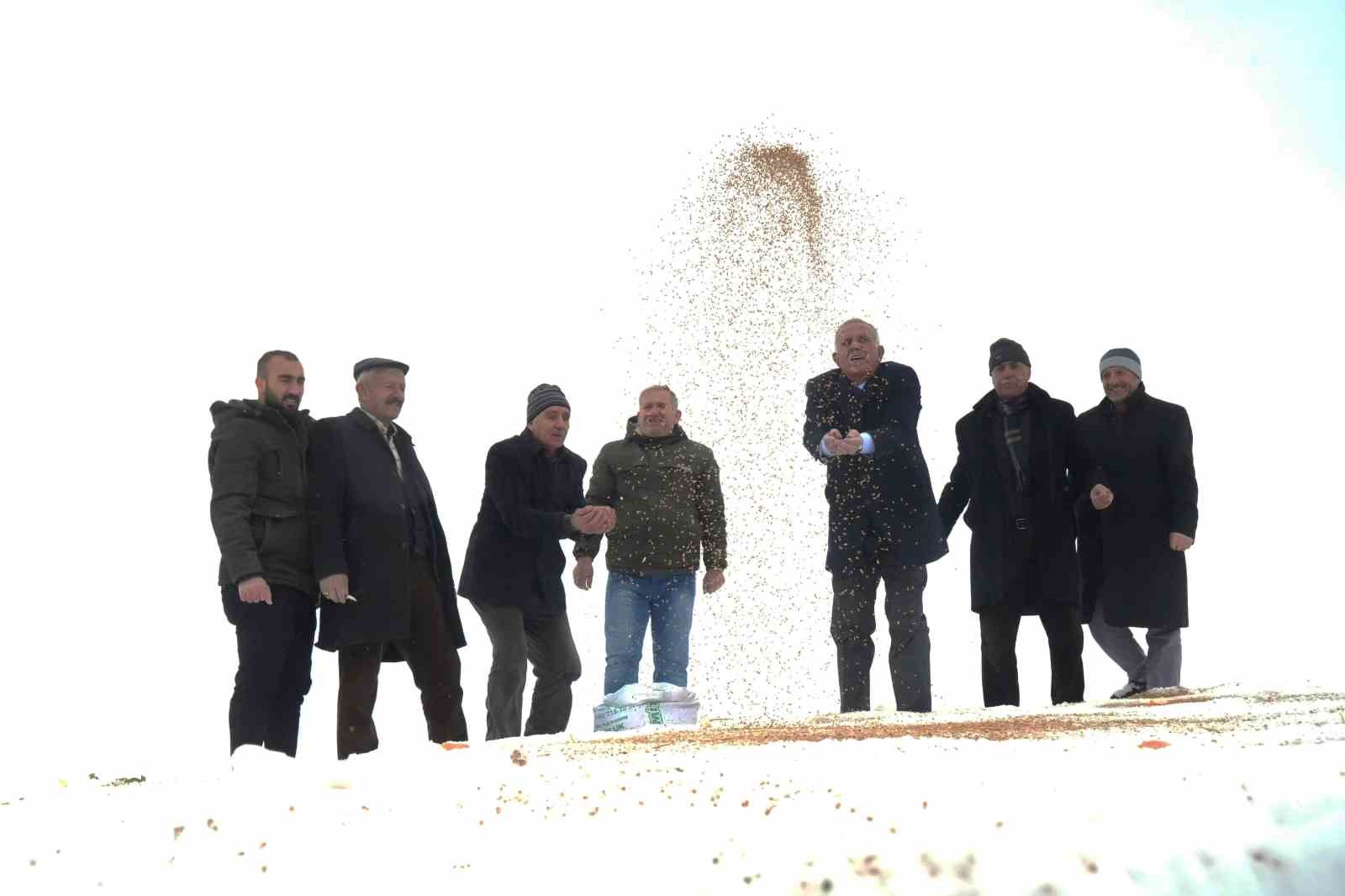 Muş’ta yaban hayvanları için doğaya yem bırakıldı 9 musta yaban hayvanlari icin dogaya yem birakildi 5 O2P6KYrr