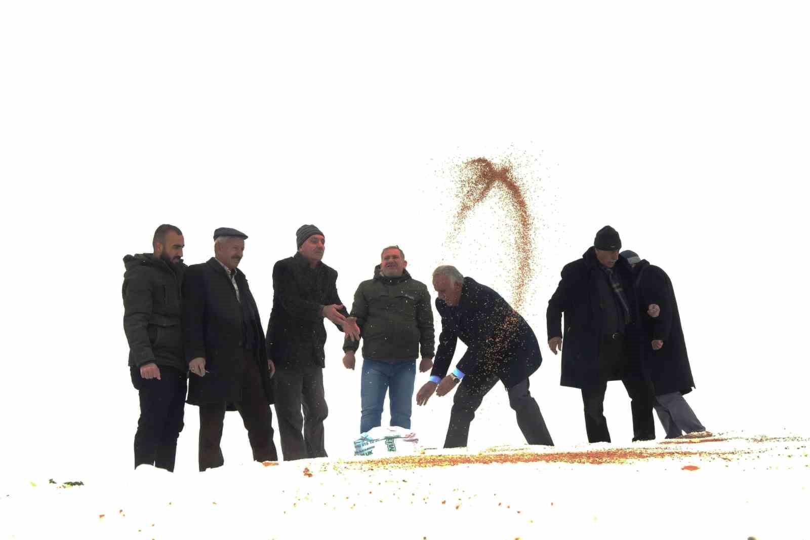 Muş’ta yaban hayvanları için doğaya yem bırakıldı 10 musta yaban hayvanlari icin dogaya yem birakildi 6 zrS3fnfN