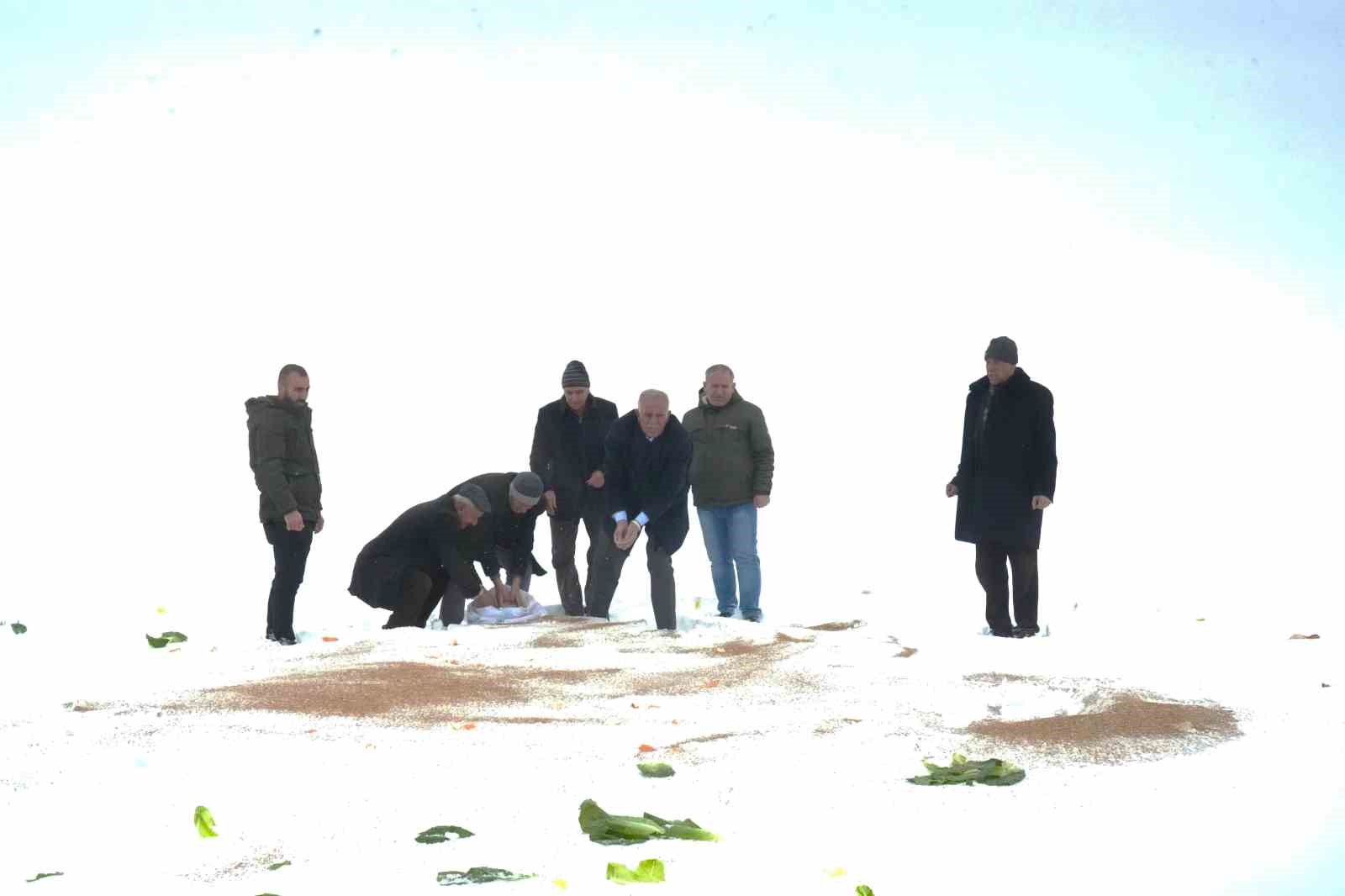 Muş’ta yaban hayvanları için doğaya yem bırakıldı 11 musta yaban hayvanlari icin dogaya yem birakildi 7 jdibTXd9