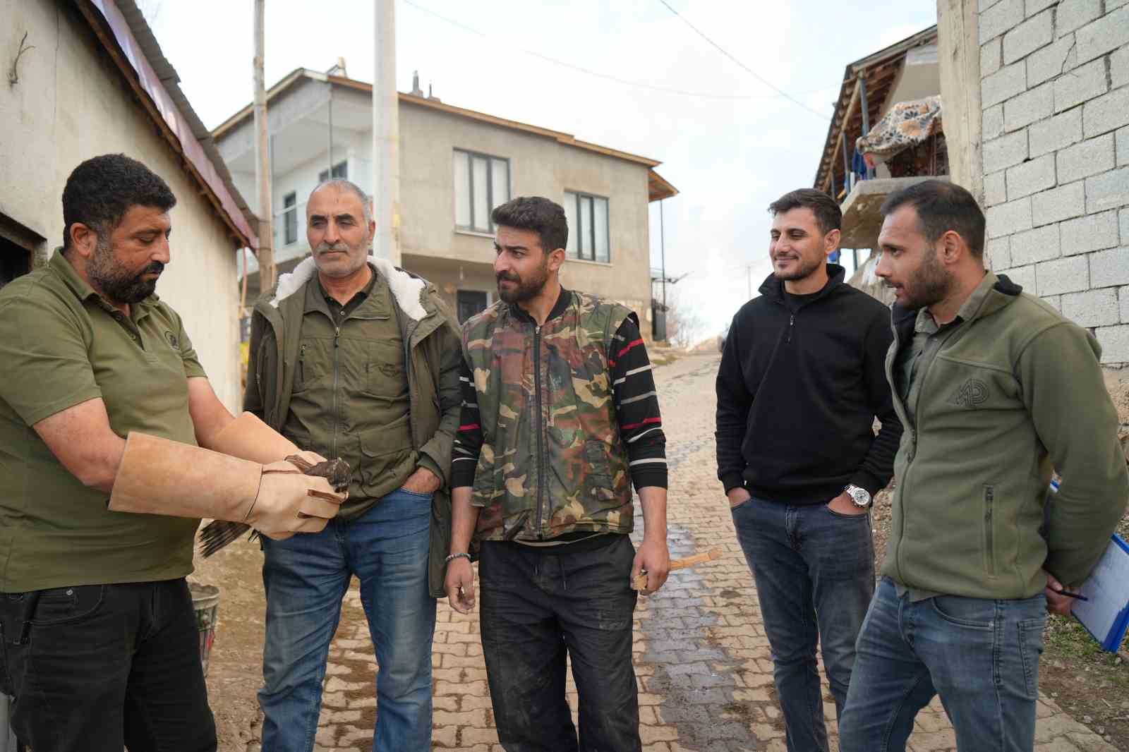 musta yarali halde bulunan atmaca tedavi altina alindi 4 aeR2n4N3