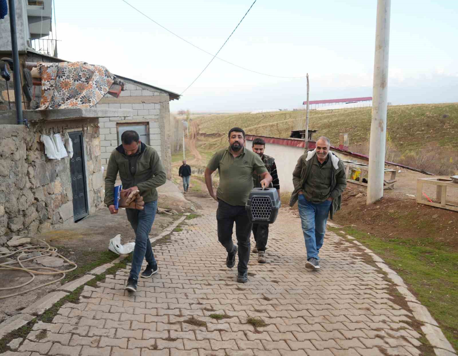 musta yarali halde bulunan atmaca tedavi altina alindi 7 hi8w1TKi