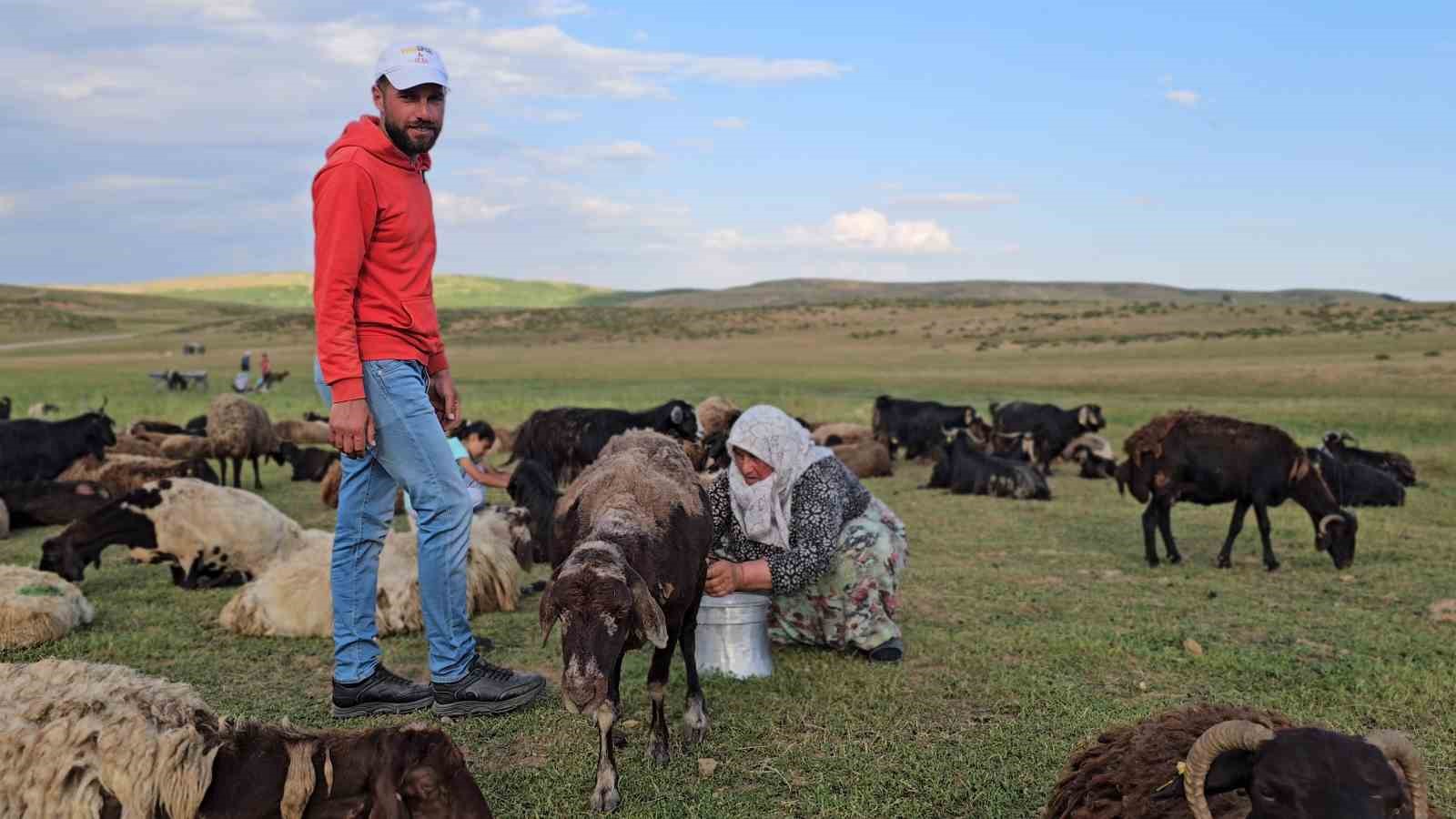 musta yayla mesaisi basladi lezzetli sutun sirri daglarda sakli 10 rfGN73Yn