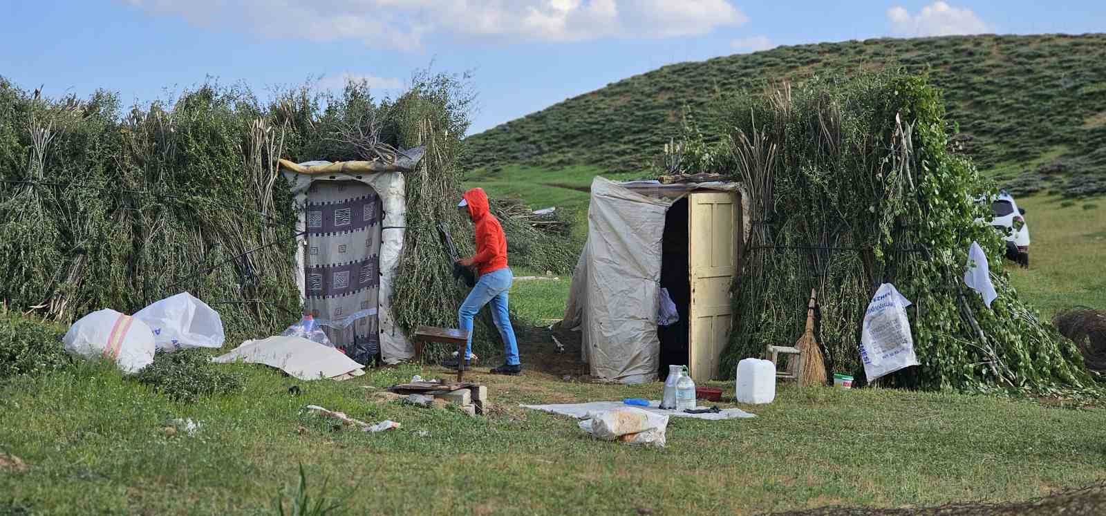 musta yayla mesaisi basladi lezzetli sutun sirri daglarda sakli 3 4LAgtt9n