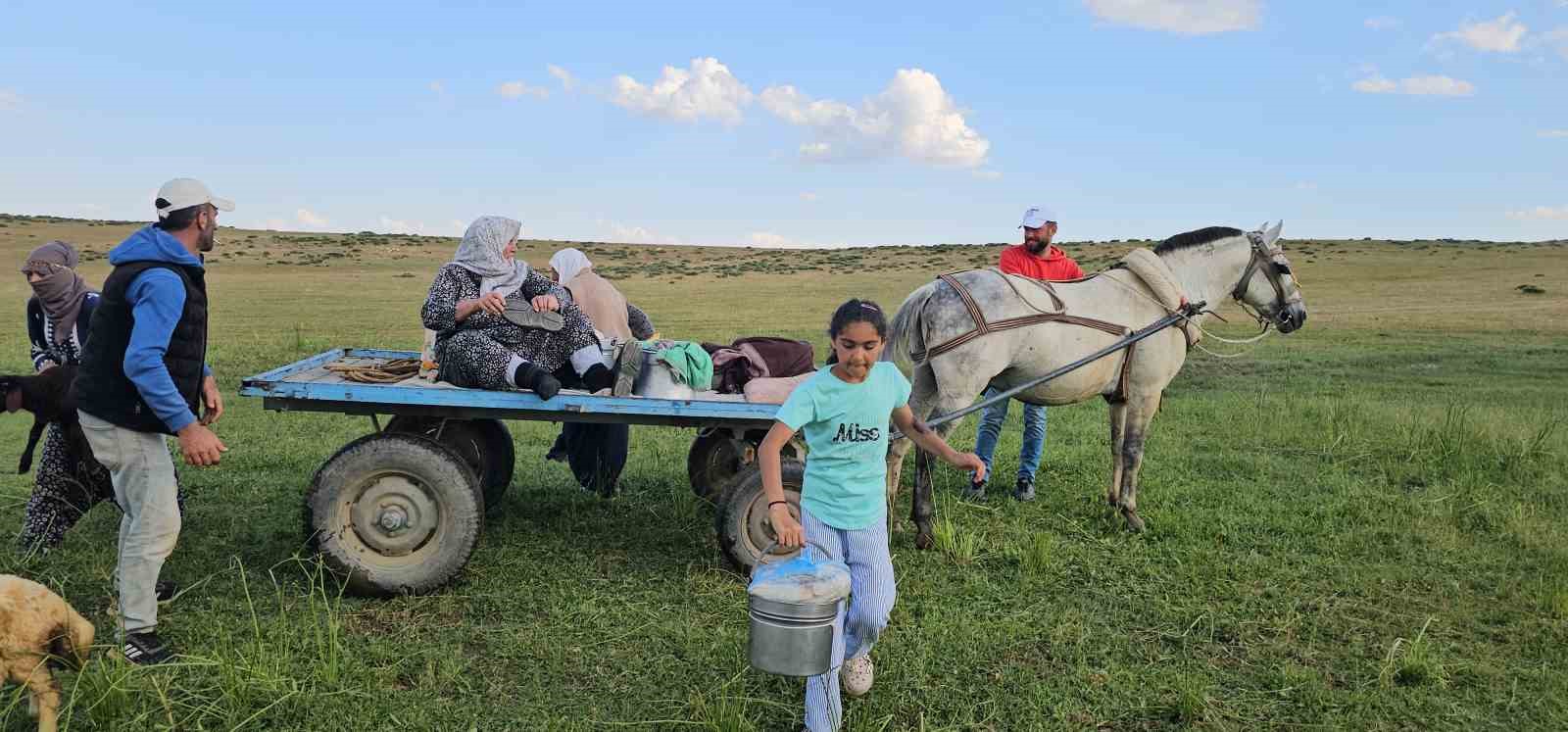 musta yayla mesaisi basladi lezzetli sutun sirri daglarda sakli 6 nFUvtbWv