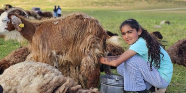 musta-yayla-mesaisi-basladi-lezzetli-sutun-sirri-daglarda-sakli-9bscgOCi.jpg