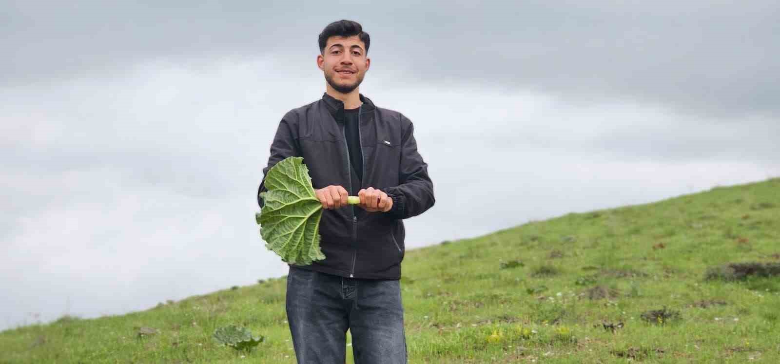 musta yayla muzu mesaisi basladi 6 H3j76brb