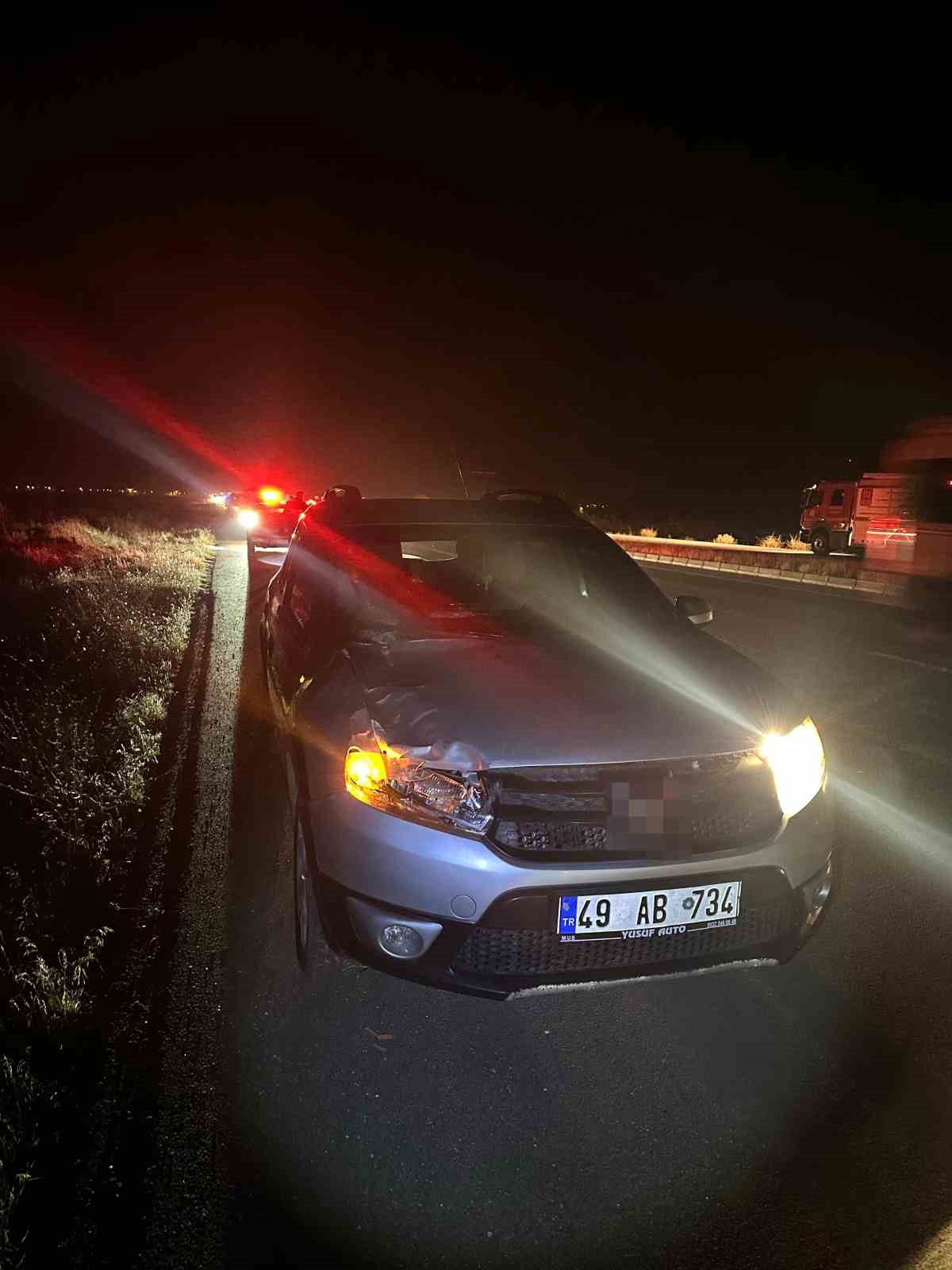 musta yola cikan inekler kazaya neden oldu 1 yarali 1 6rGQIEtz