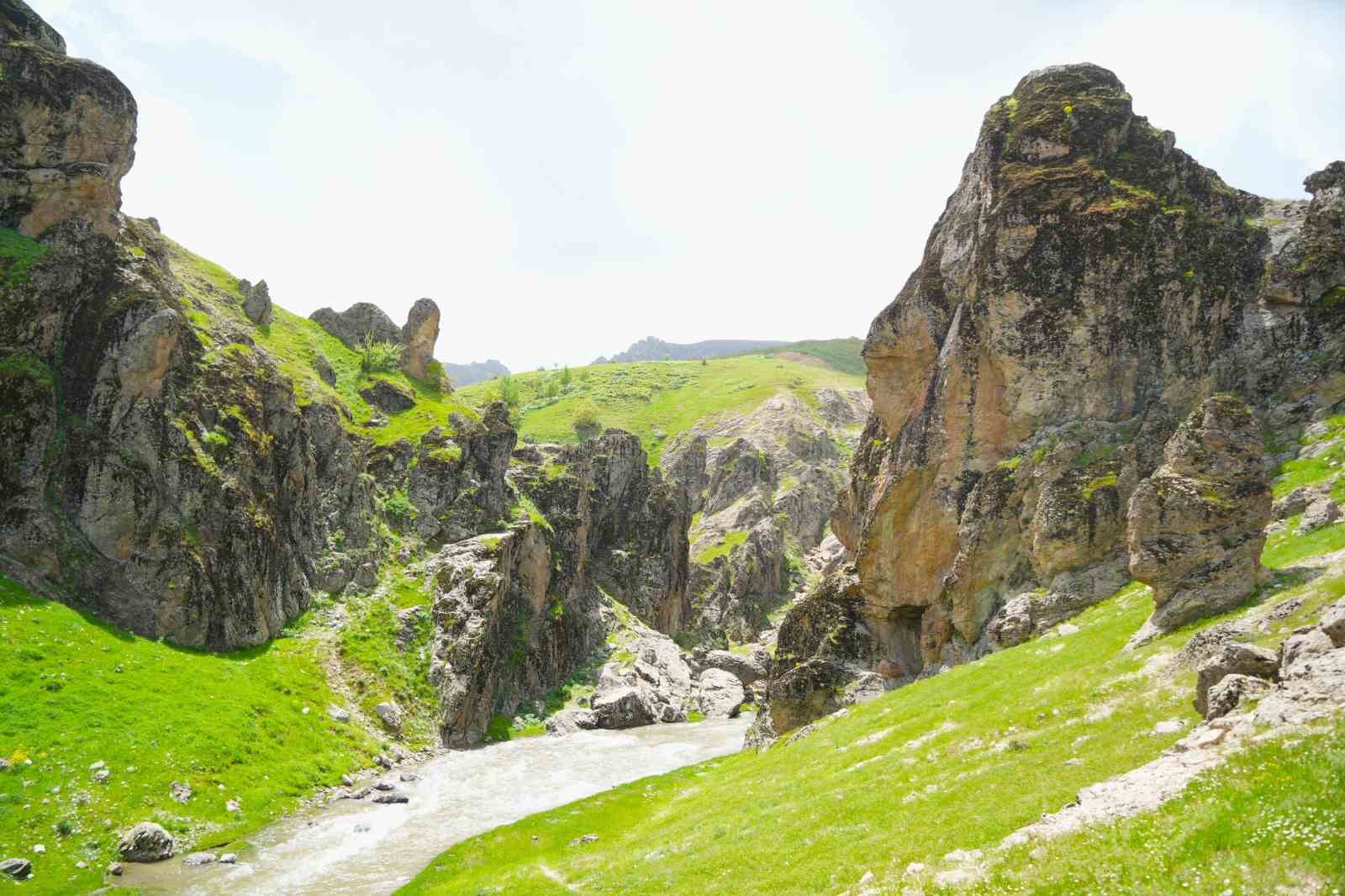 Muş’un saklı cenneti Kızılağaç Kanyonu doğaseverleri bekliyor 8 musun sakli cenneti kizilagac kanyonu dogaseverleri bekliyor 4 7OlkRIHp