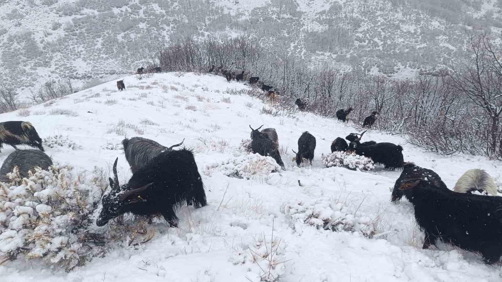 musun yuksek rakimli koylerde kar etkili oldu besiciler zor anlar yasadi 3