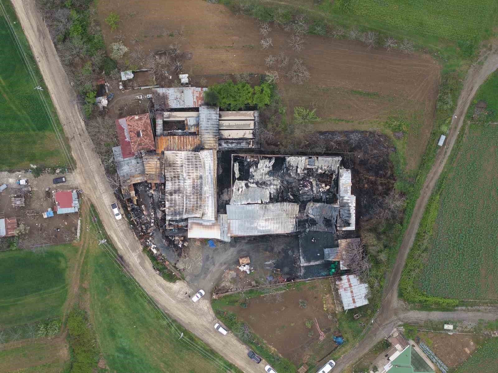 muz deposundaki yanginin zarari gun agarinca ortaya cikti 1 B8mWFE6C