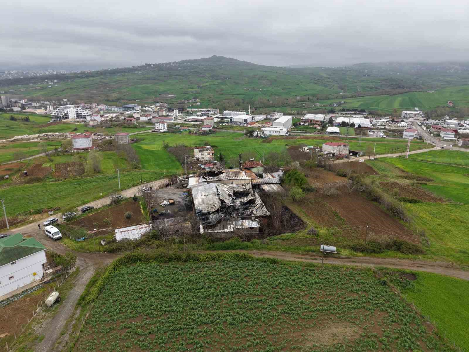 muz deposundaki yanginin zarari gun agarinca ortaya cikti 6 srr1XZ5M