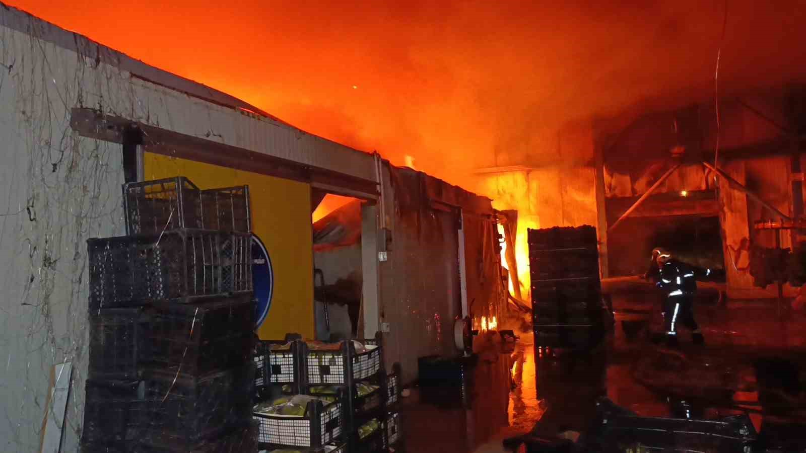 muz paketleme tesisinde cikan yangin korku dolu anlar yasatti 1 6sNcfCOl