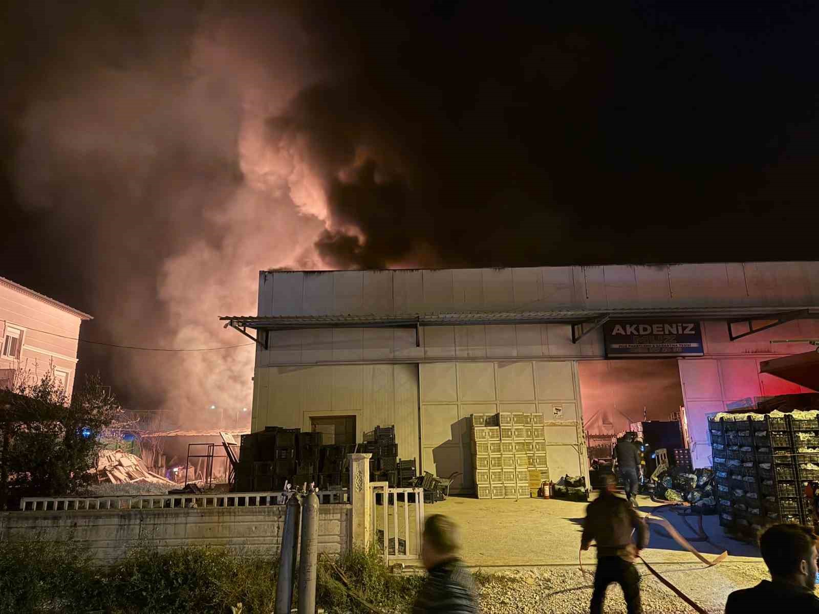 muz paketleme tesisinde cikan yangin korku dolu anlar yasatti 12 reNclVNW