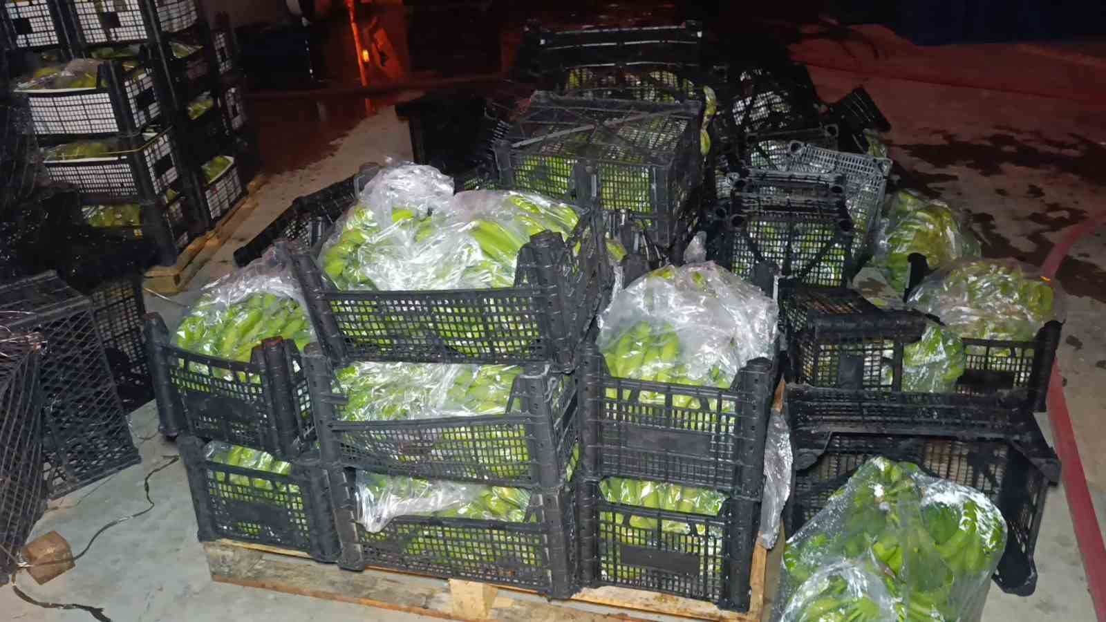 muz paketleme tesisinde cikan yangin korku dolu anlar yasatti 6 HZ5NdD6r