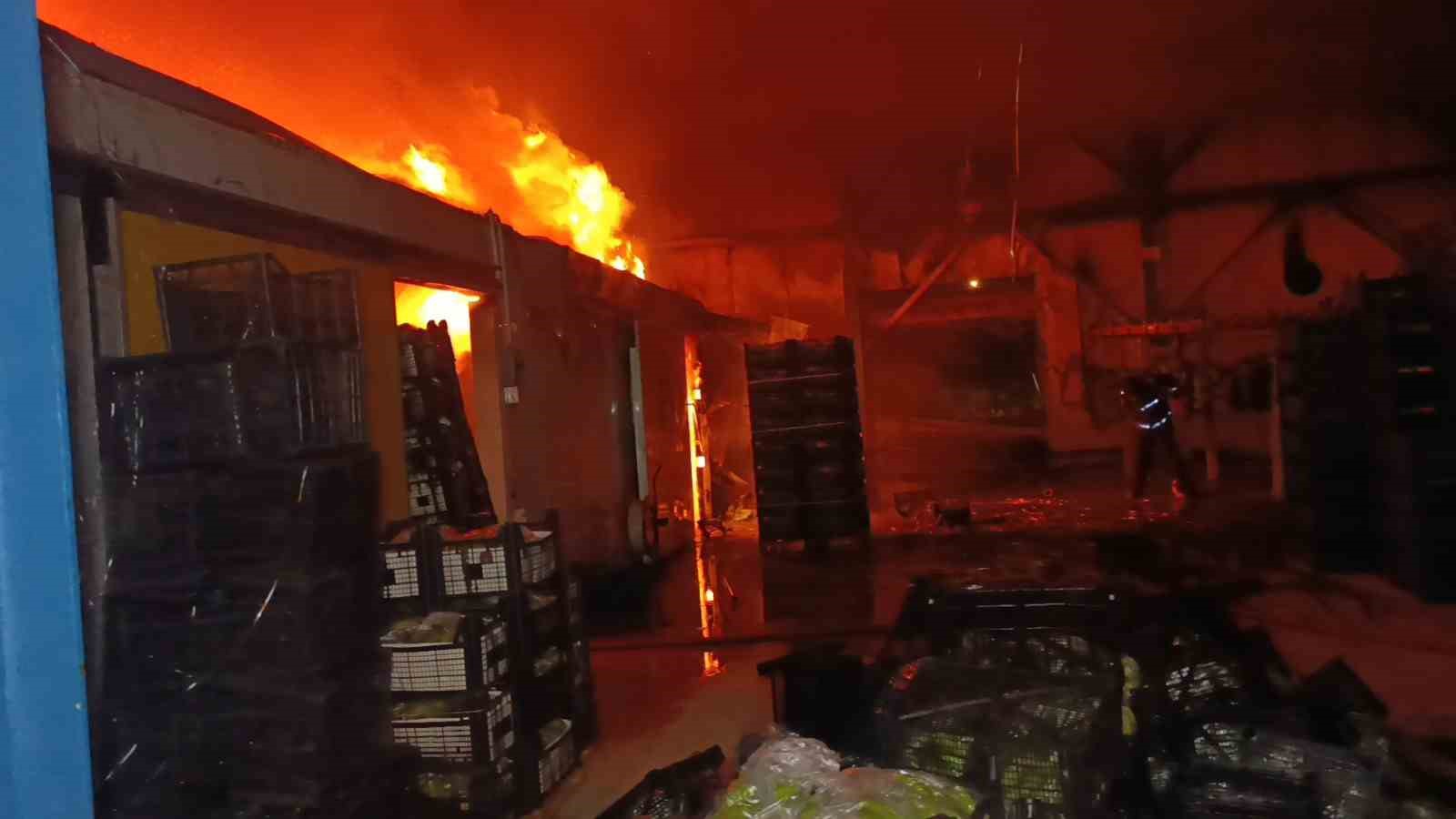 muz paketleme tesisinde cikan yangin korku dolu anlar yasatti 7 5A3ipTbB