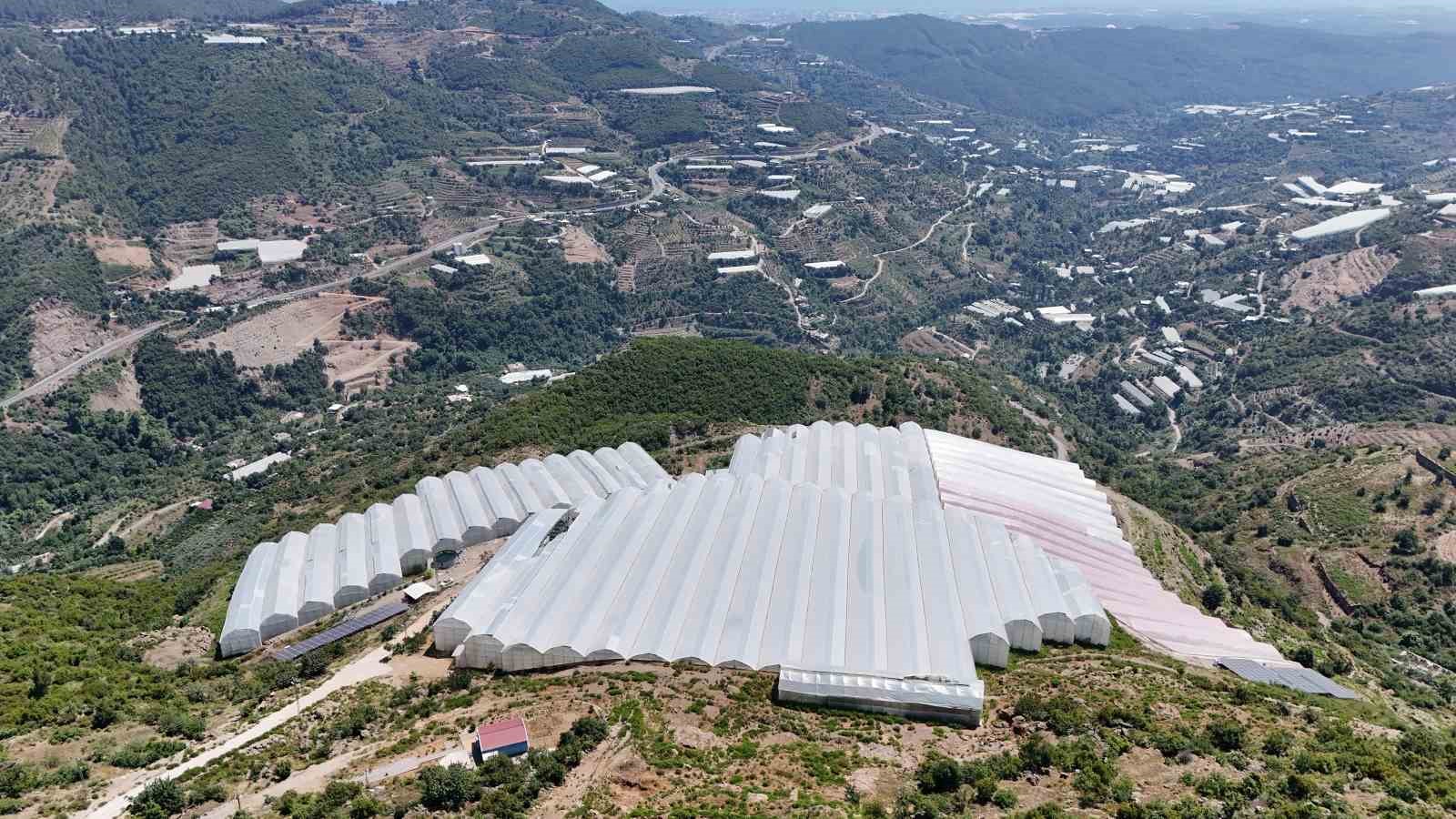 Muzda sera ve pazar arasındaki makas 70-80 liralara yükseldi 10 muzda sera ve pazar arasindaki makas 70 80 liralara yukseldi 6 OSz5RErl