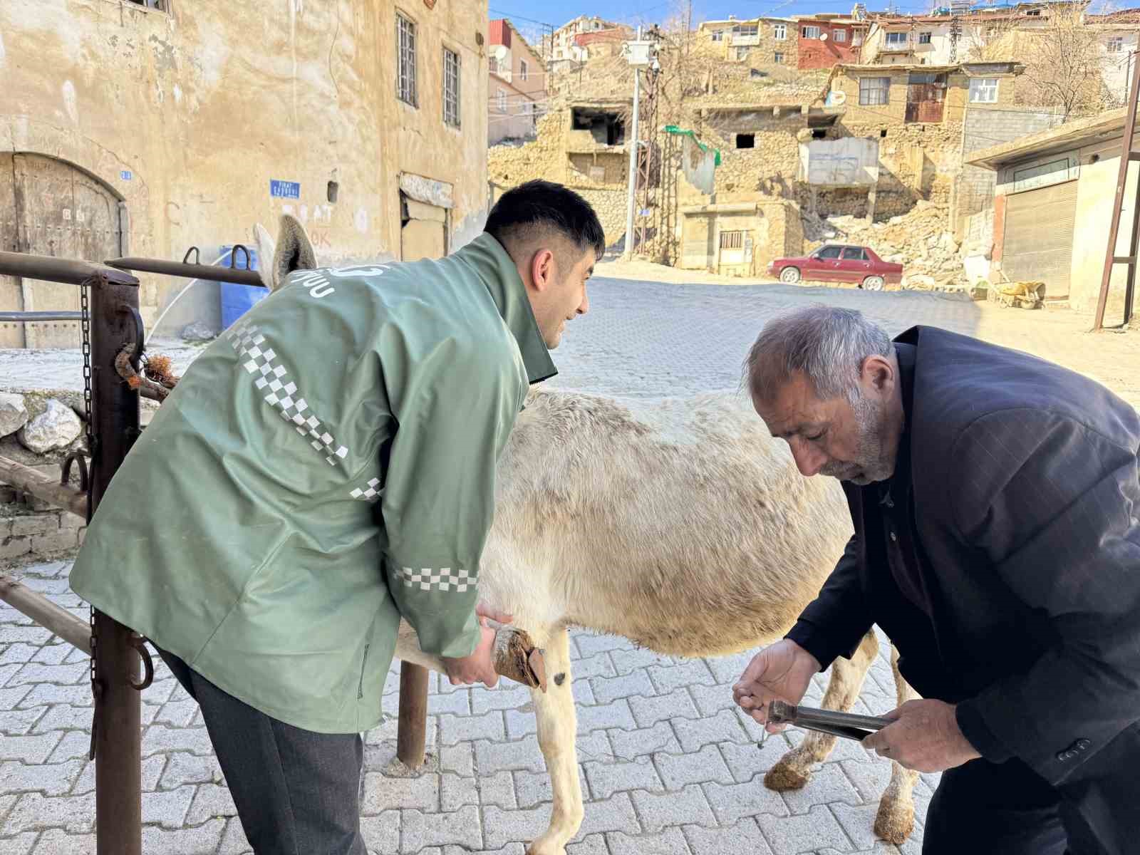 Nalbantlıkla geçen yarım asır: Diyarbakırlı 2 kardeş, 50 yıldır nalbantlık yapıyor 7 nalbantlikla gecen yarim asir diyarbakirli 2 kardes 50 yildir nalbantlik yapiyor 3 dImlAy7I