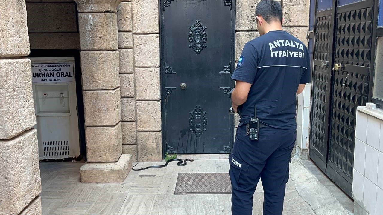 Namaza gelen cemaat karşılaştıkları yılanı önce oyuncak sandı, hareket edince telefona sarıldı 4 namaza gelen cemaat karsilastiklari yilani once oyuncak sandi hareket edince telefona sarildi 0 XjR4I3Y4