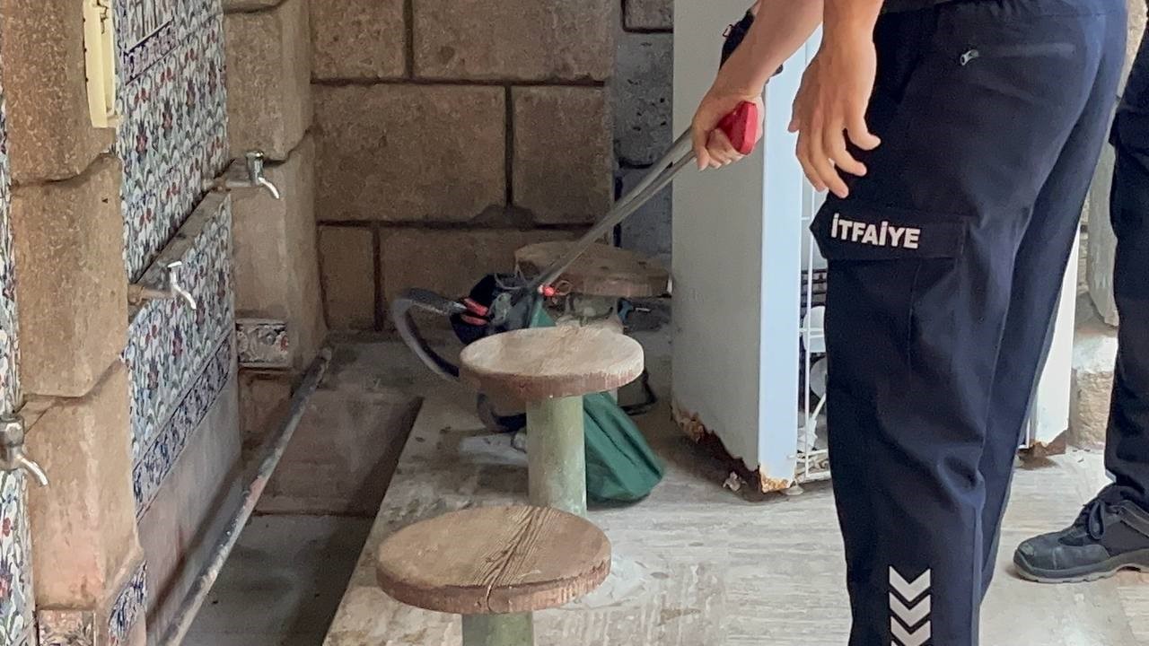 Namaza gelen cemaat karşılaştıkları yılanı önce oyuncak sandı, hareket edince telefona sarıldı 8 namaza gelen cemaat karsilastiklari yilani once oyuncak sandi hareket edince telefona sarildi 4 OuJrs4s3
