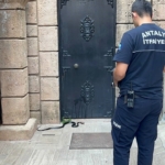 namaza-gelen-cemaat-karsilastiklari-yilani-once-oyuncak-sandi-hareket-edince-telefona-sarildi-DCYMKcUS.jpg