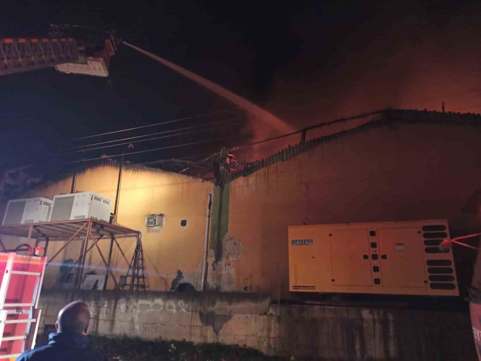 Narenciye paketleme fabrikası alevlere teslim oldu: 60 işçi tahliye edildi, 1 işçi öldü 5 narenciye paketleme fabrikasi alevlere teslim oldu 60 isci tahliye edildi 1 isci oldu 1 ppDSlNFZ
