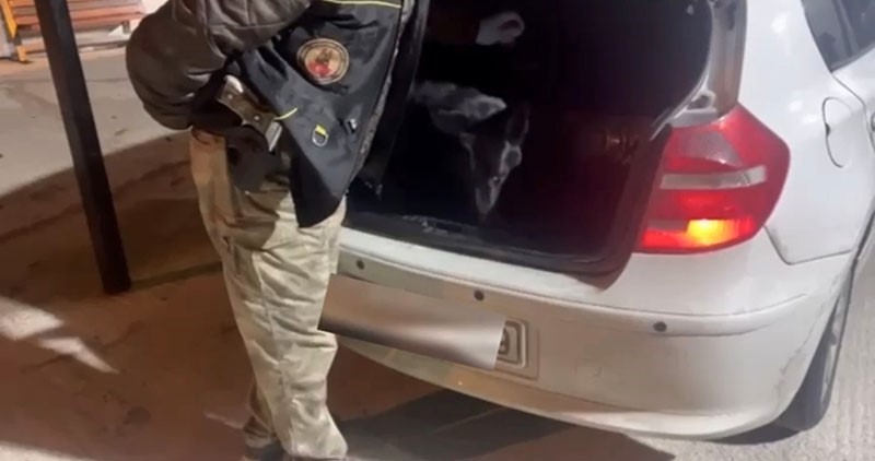 narkotik kopegi tony bagajdaki uyusturucuyu buldu 1 AZaKN6bd