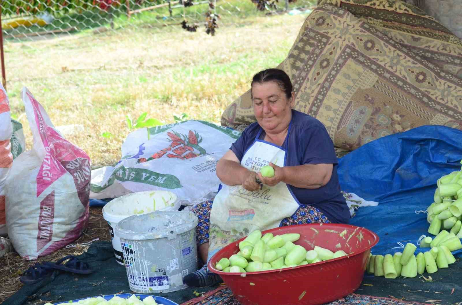 nazillide kurutmalik sebze oymaciligi bacasiz fabrikaya donustu 3 zFQZaBCA